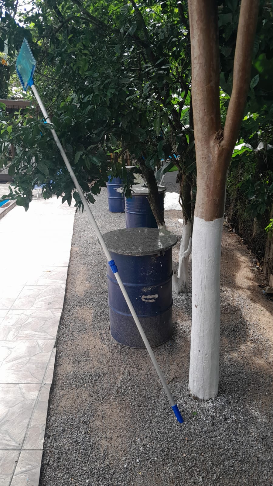 Foto do sítio